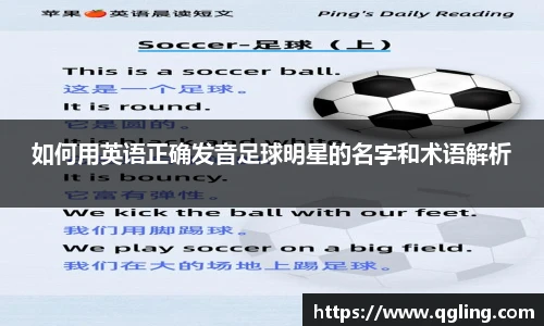 BV伟德官方网站